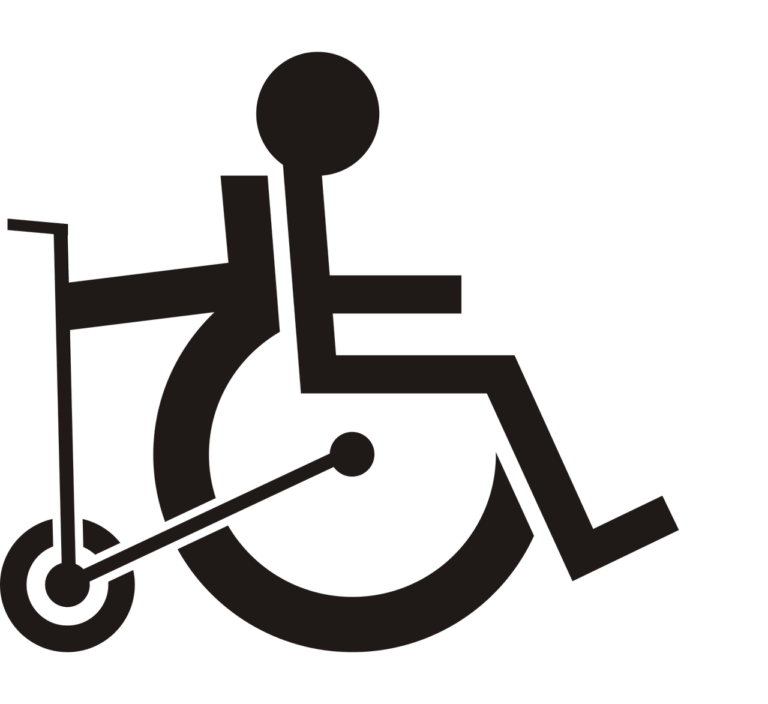 Asystent Osobisty Osoby Niepełnosprawnej – edycja 2021