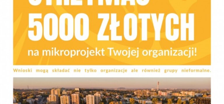 „Śląskie Lokalnie” nowa edycja konkursu grantowego. Zdobądź do 5 tyś. zł na własny mikroprojekt